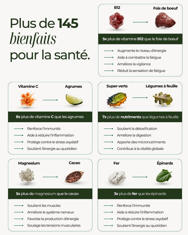 Boost Nutritionnel Complet Tout-en-un.